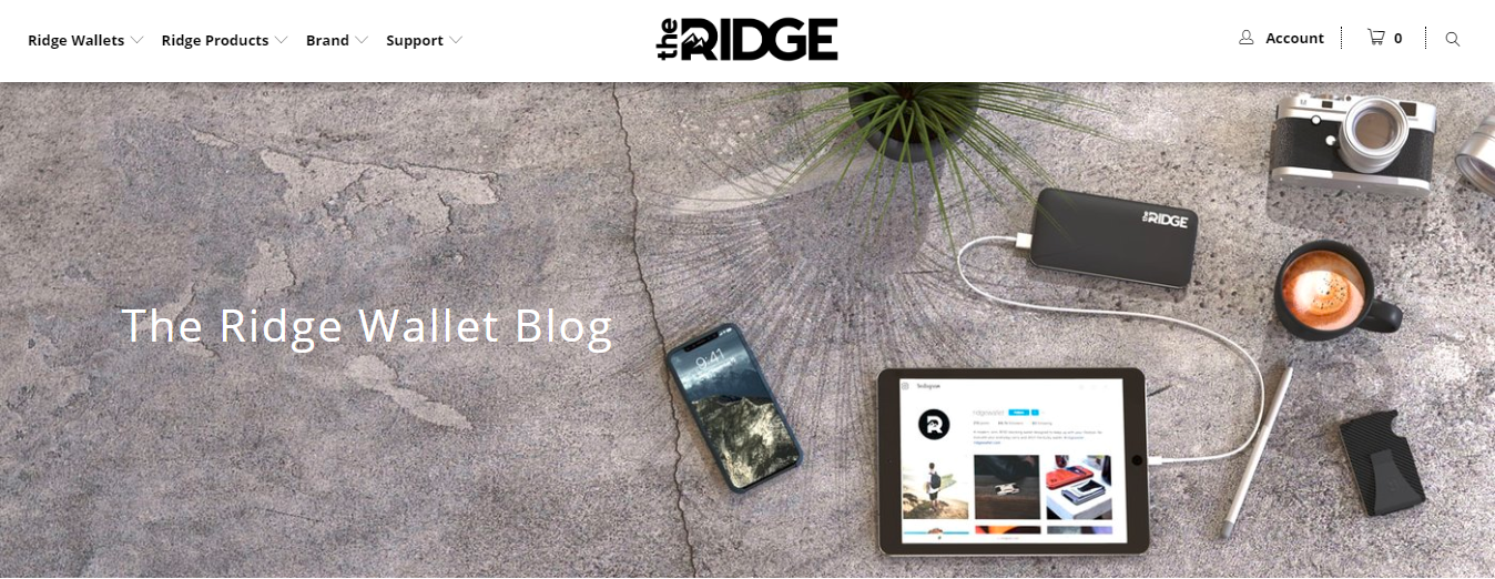 Screenshot showing the Ridge Wallet blog