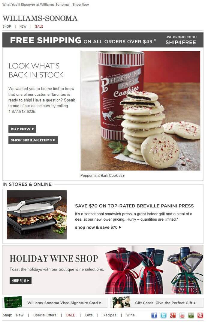 Screenshot of Williams Sonoma email