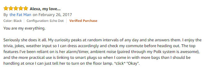 Screenshot showing an amazon review