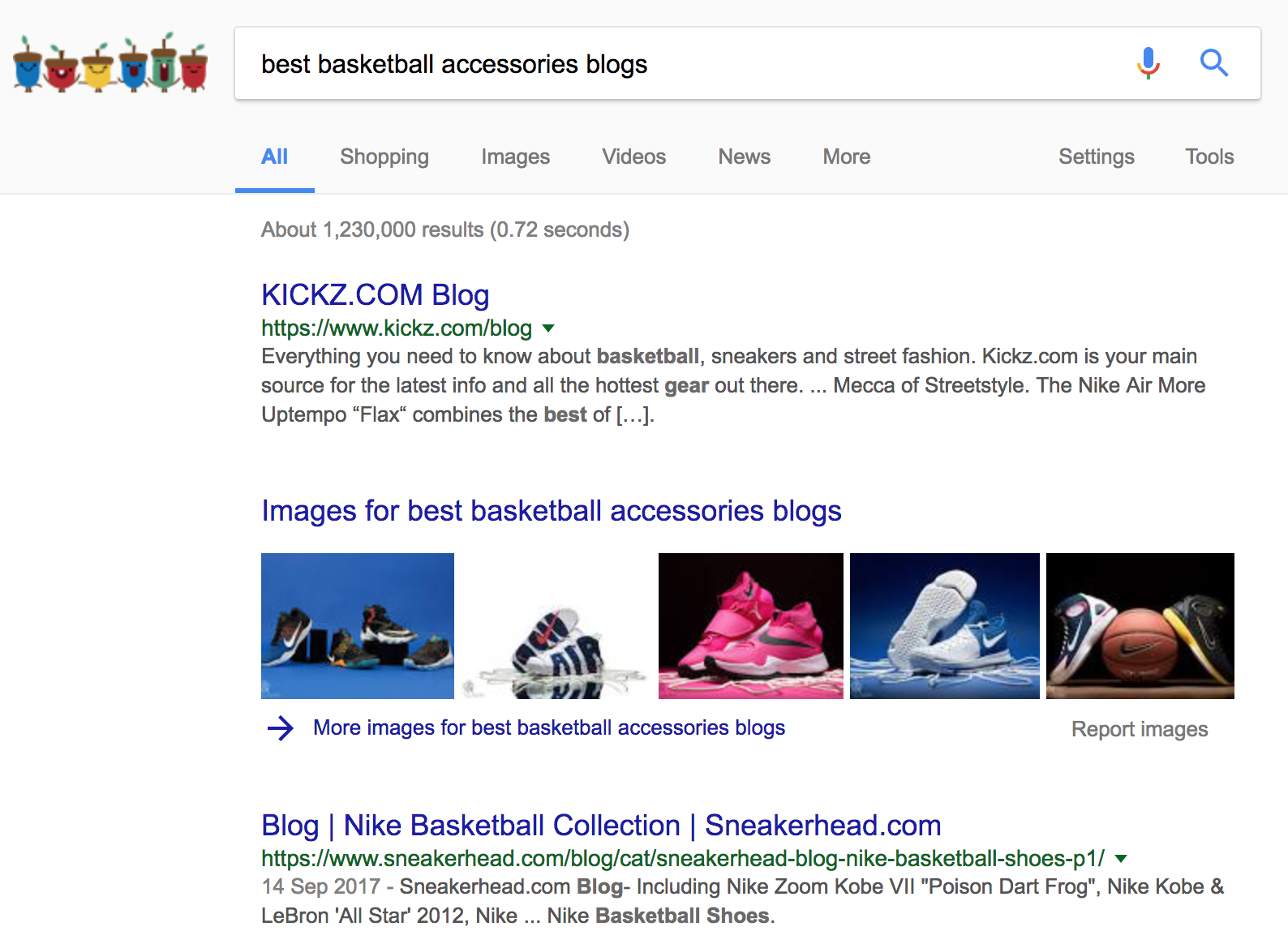 Screenshot showing a google search for "best basketball accessories blogs"