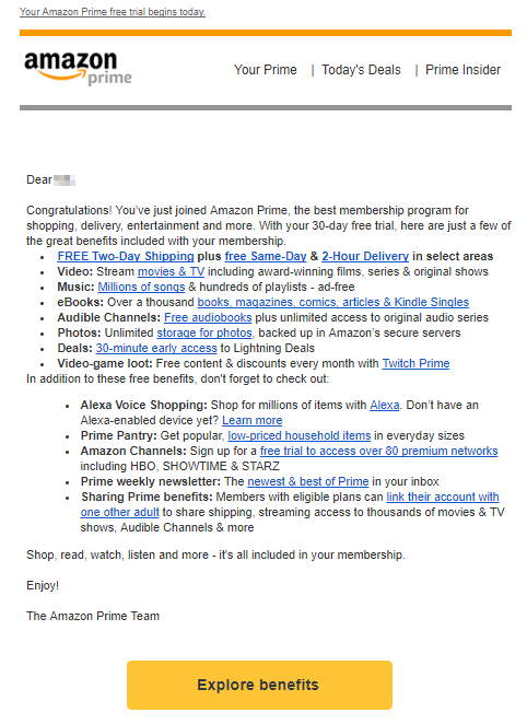 Screenshot showing an email by amazon prime