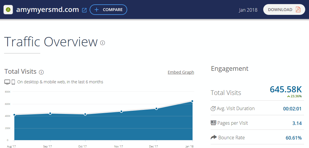 Screenshot showing traffic overview for a website