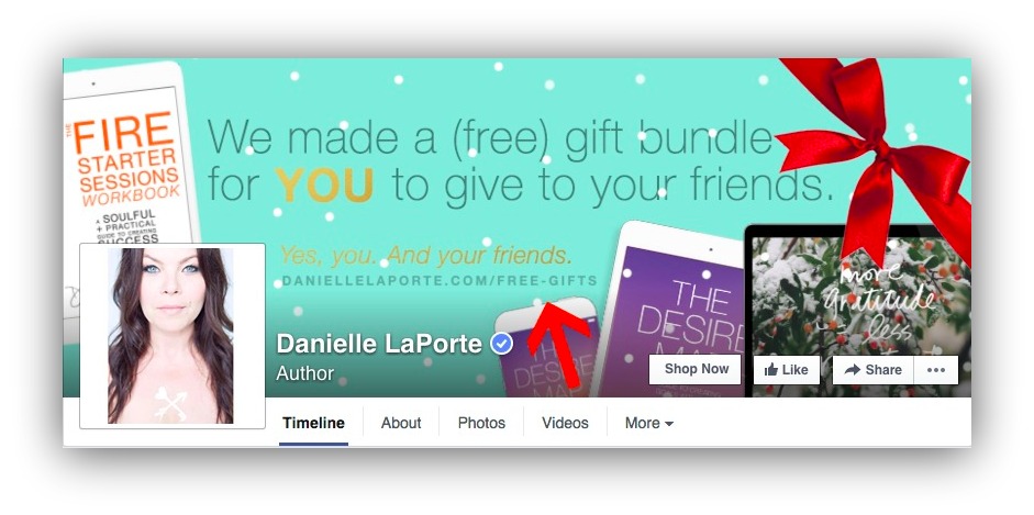 Screenshot fo Danielle Laporte