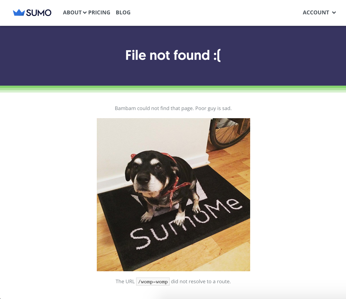 Screenshot showing the Sumo.com 404 page