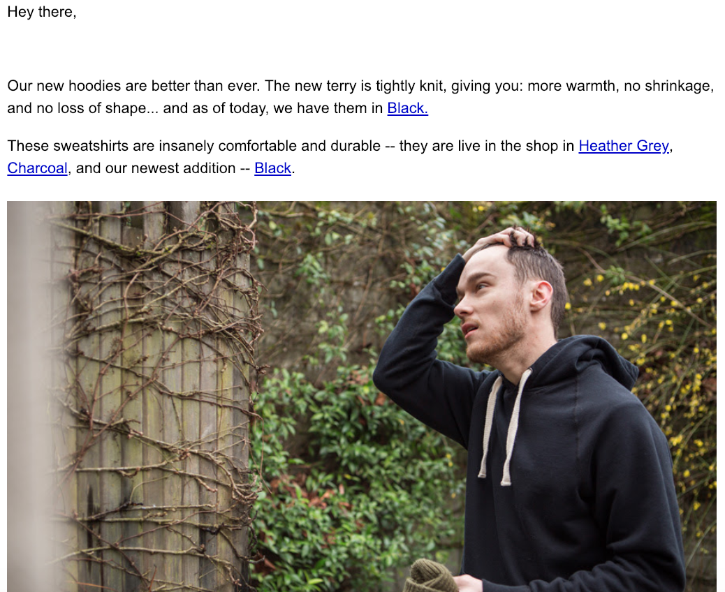 Screenshot showing an email newsletter