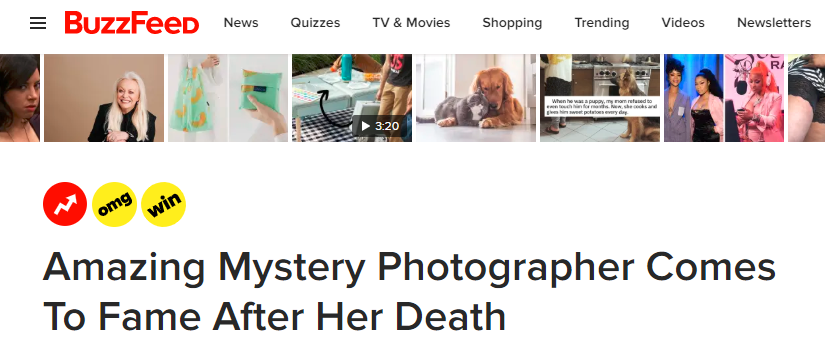 Screenshot of article headline by BuzzFeed