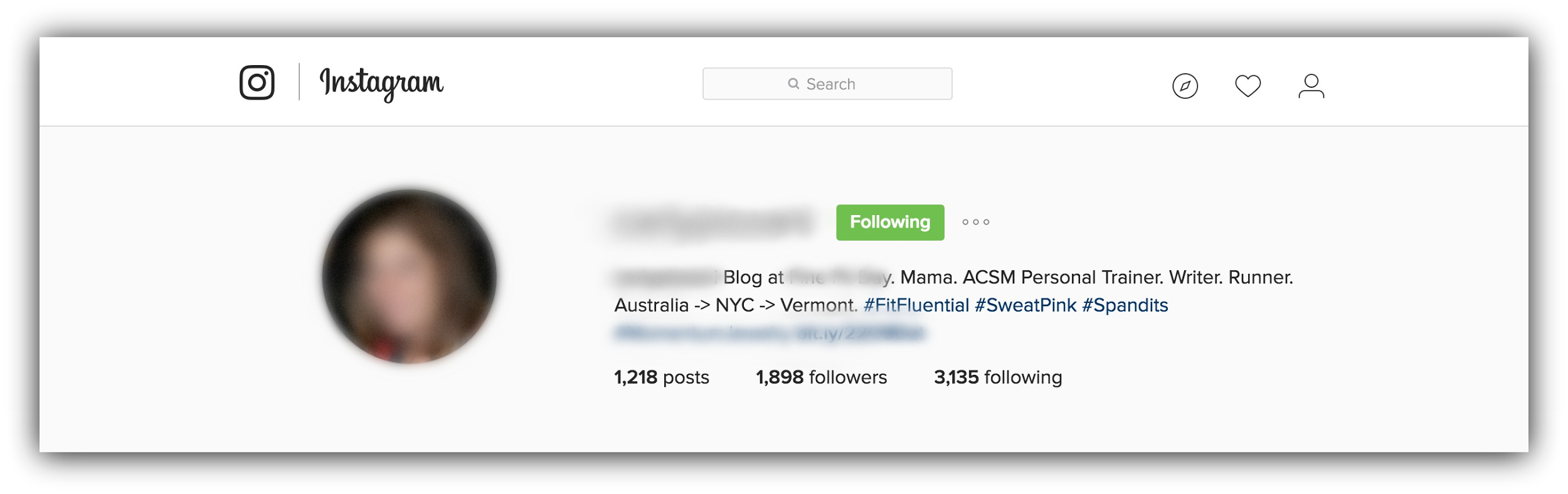Screenshot showing an instagram profile