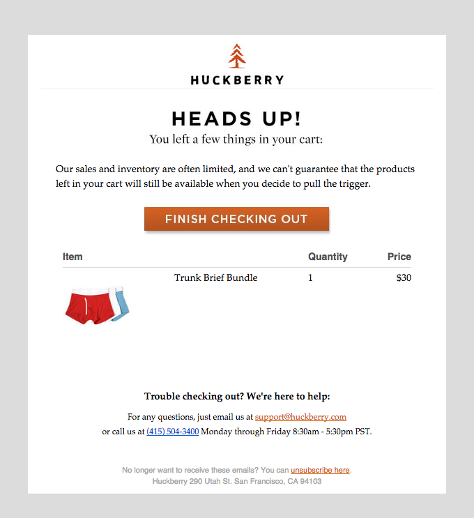 Screenshot of Huckleberry abandoned cart email example