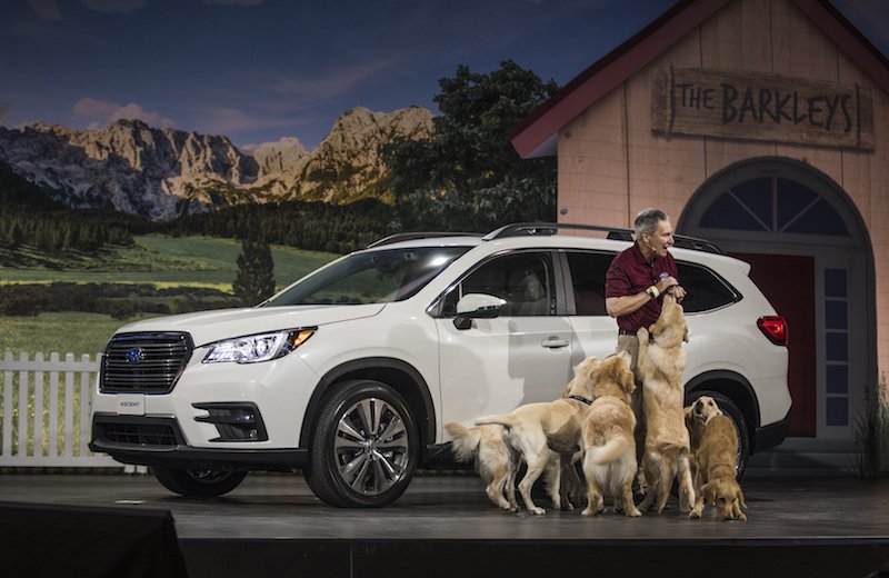 Picture showing a man with his car and dogs