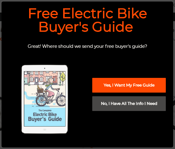 Screenshot showing an opt-in form for an electric bike buyer