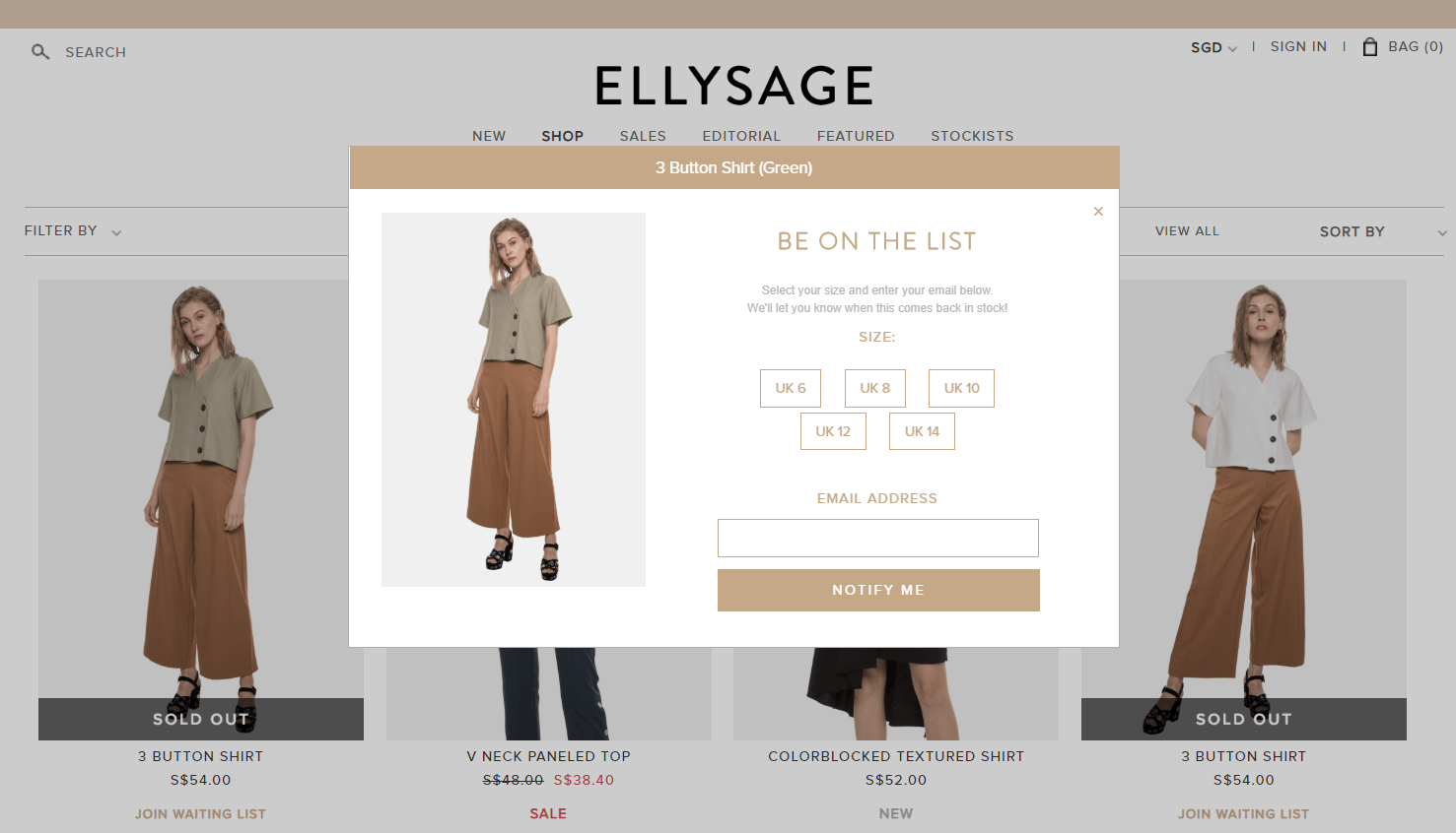 Screenshot of popup on Ellysage website
