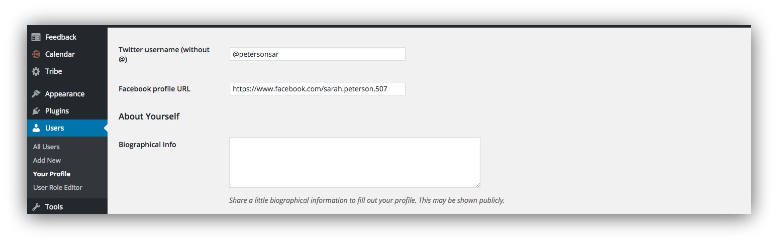 Screenshot showing the user profile page on wordpress