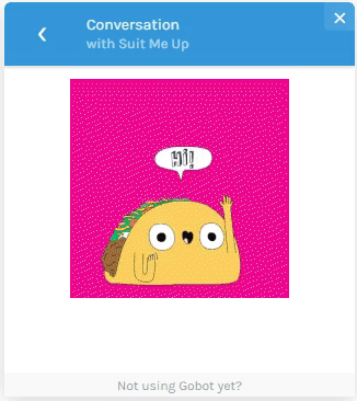 GIF showing a live chatbot in action