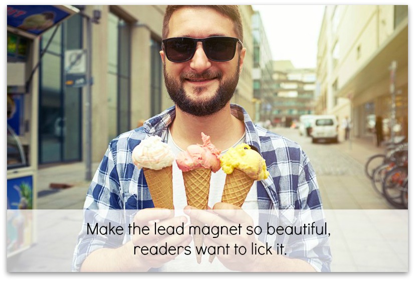 lead magnet so beautiful readers want to lick it