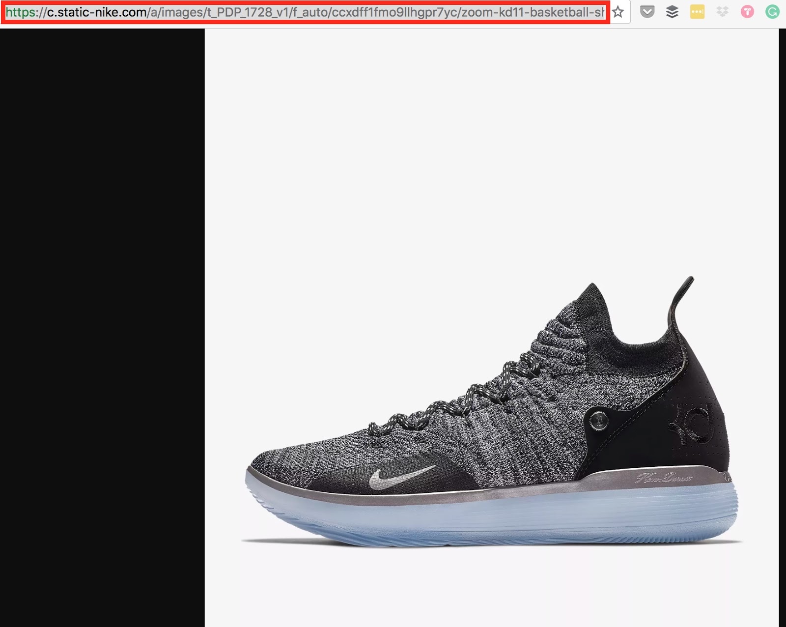 Screenshot showing a shoe and the URL