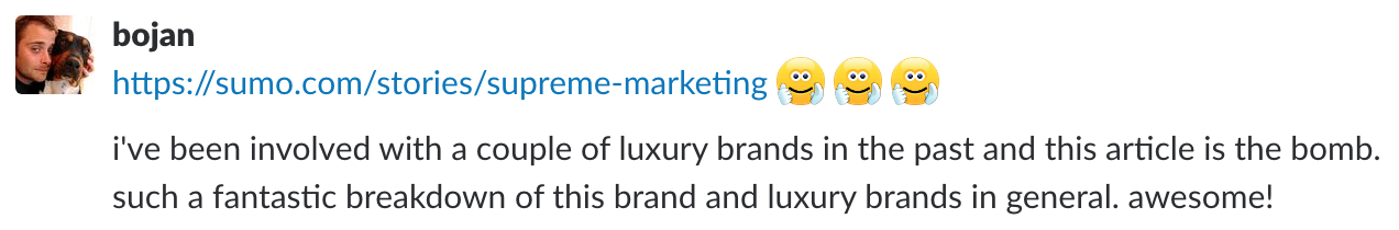 Screenshot of a review on the supreme marketing article