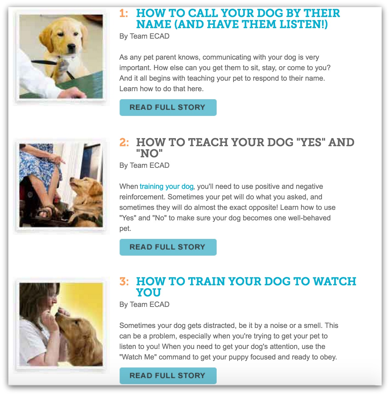 top dog training blogs