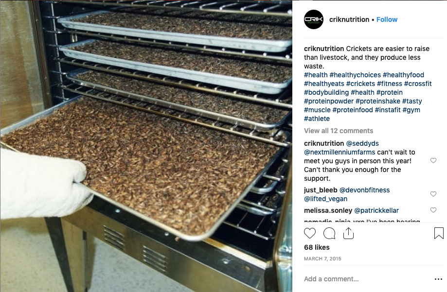 Screenshot showing an Instagram post of roasting crickets