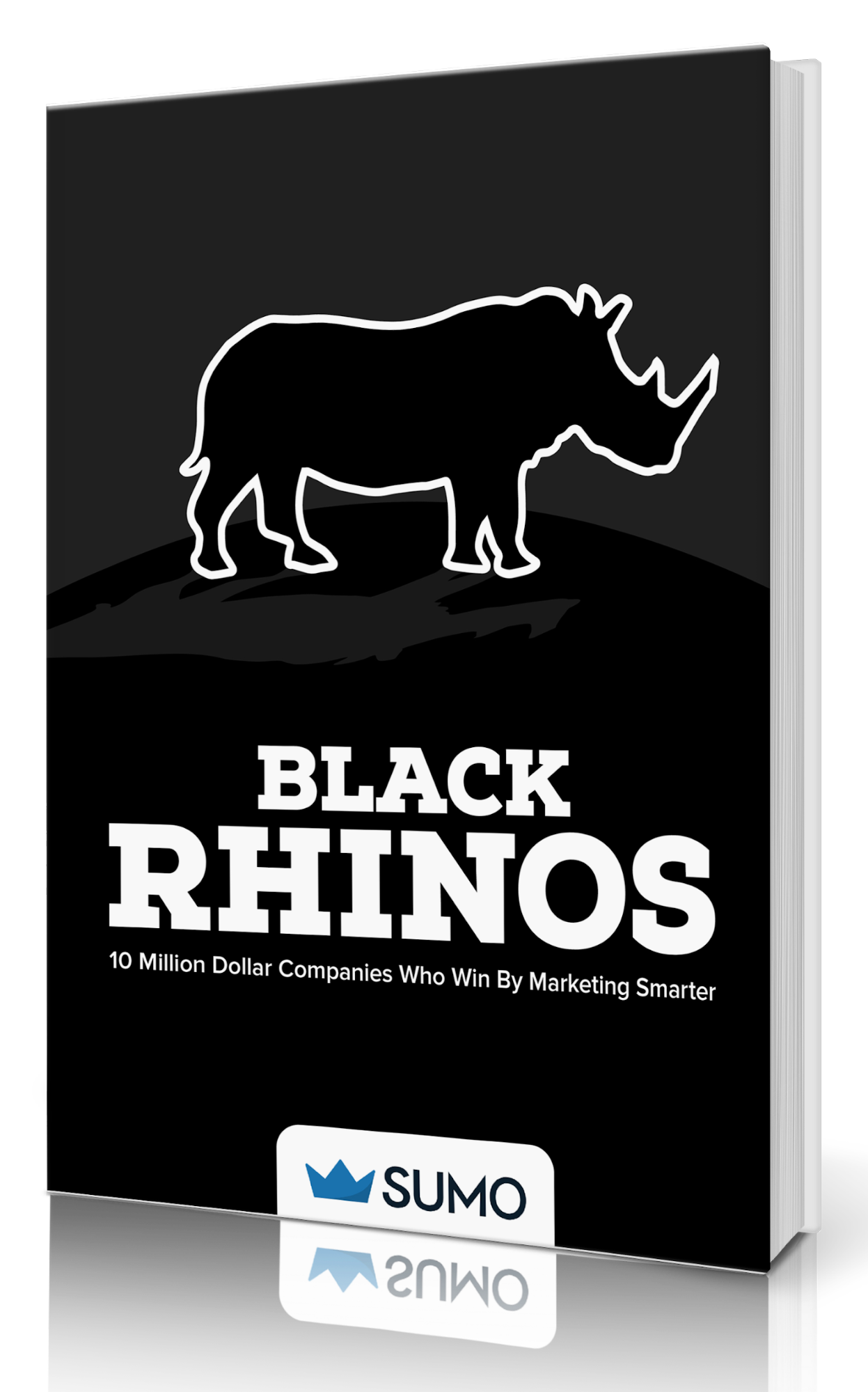 Book cover for the black rhino book