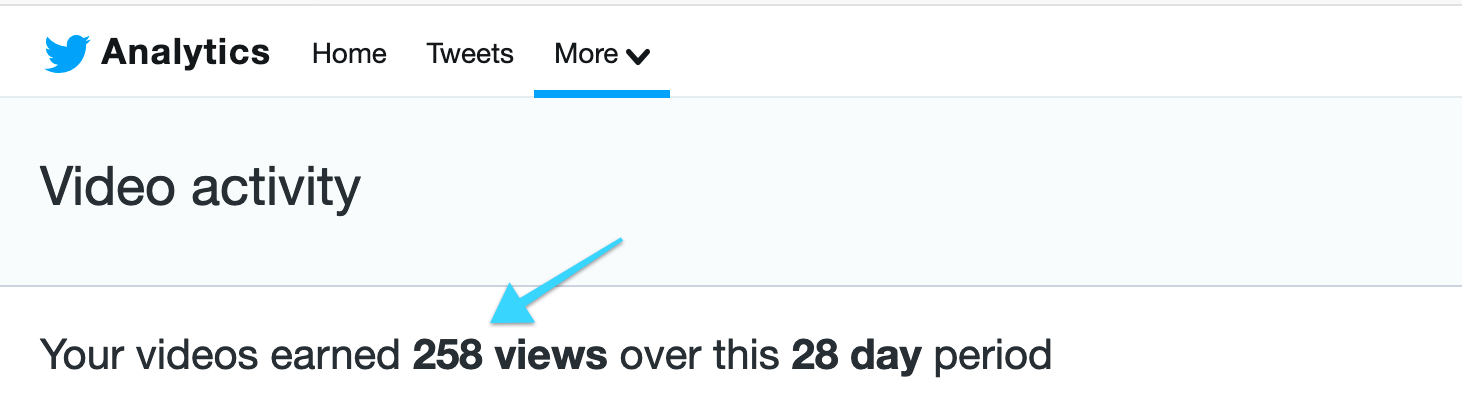 video analytics earned 258 views over 28 days
