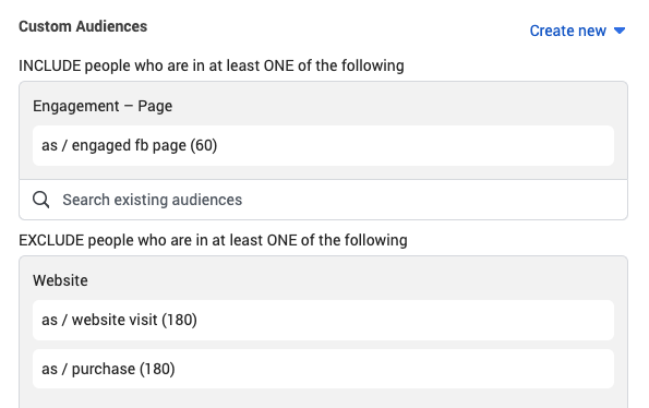 AppSumo Custom Audiences Campaign Targeting