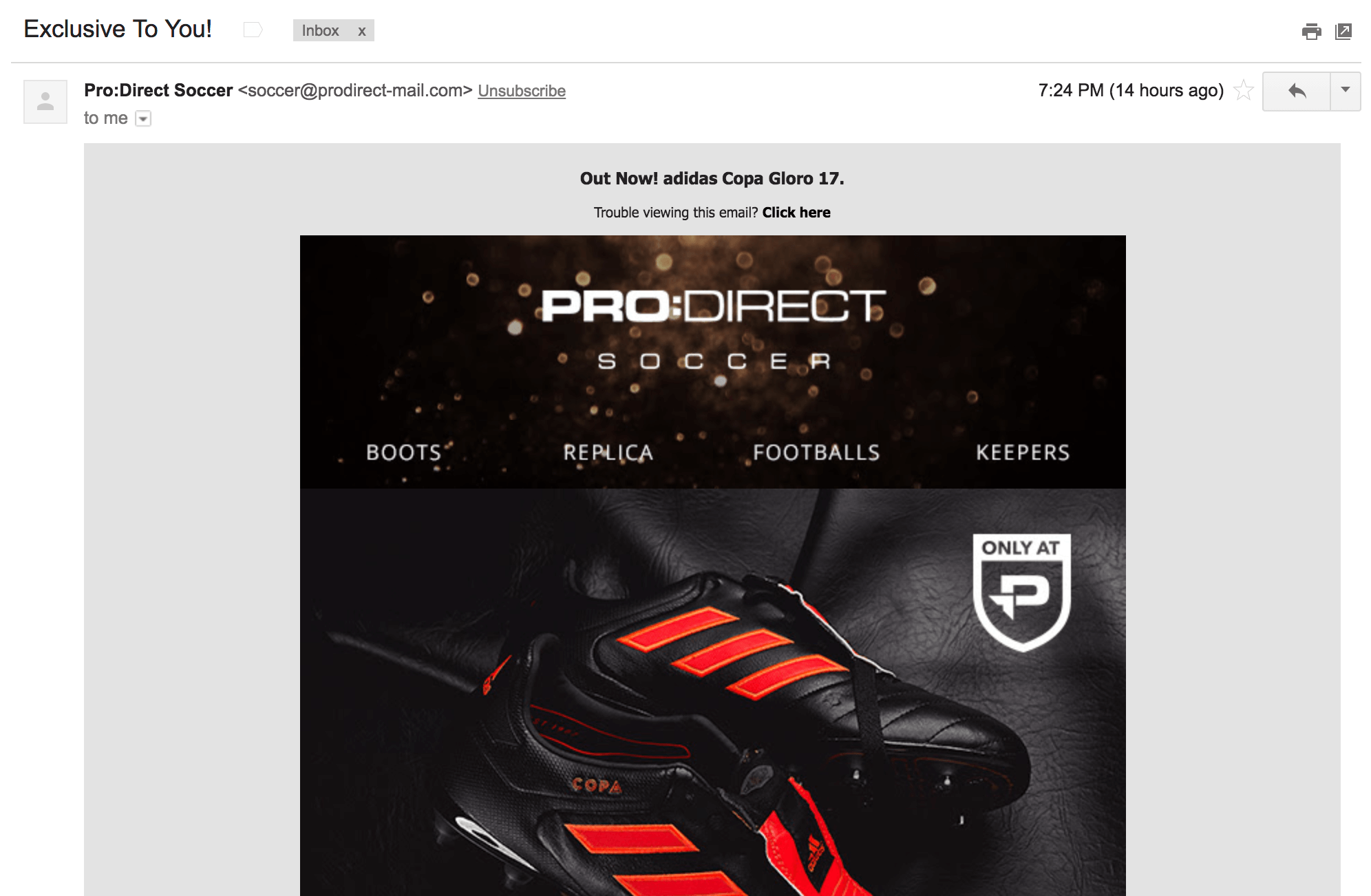 Screenshot showing an email by ProDirect