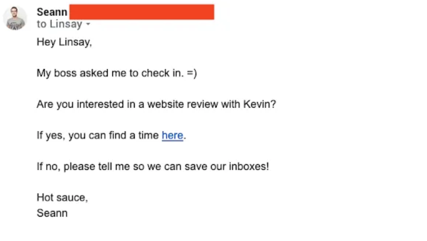 Follow-Up Email: Screenshot of email from Seann which includes a CTA to book a website review with someone from the Sumo team