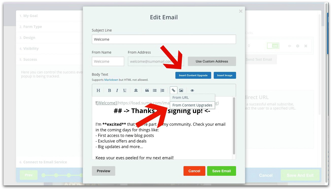 Screenshot showing Sumo email editor