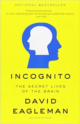 Cover art for Incognito