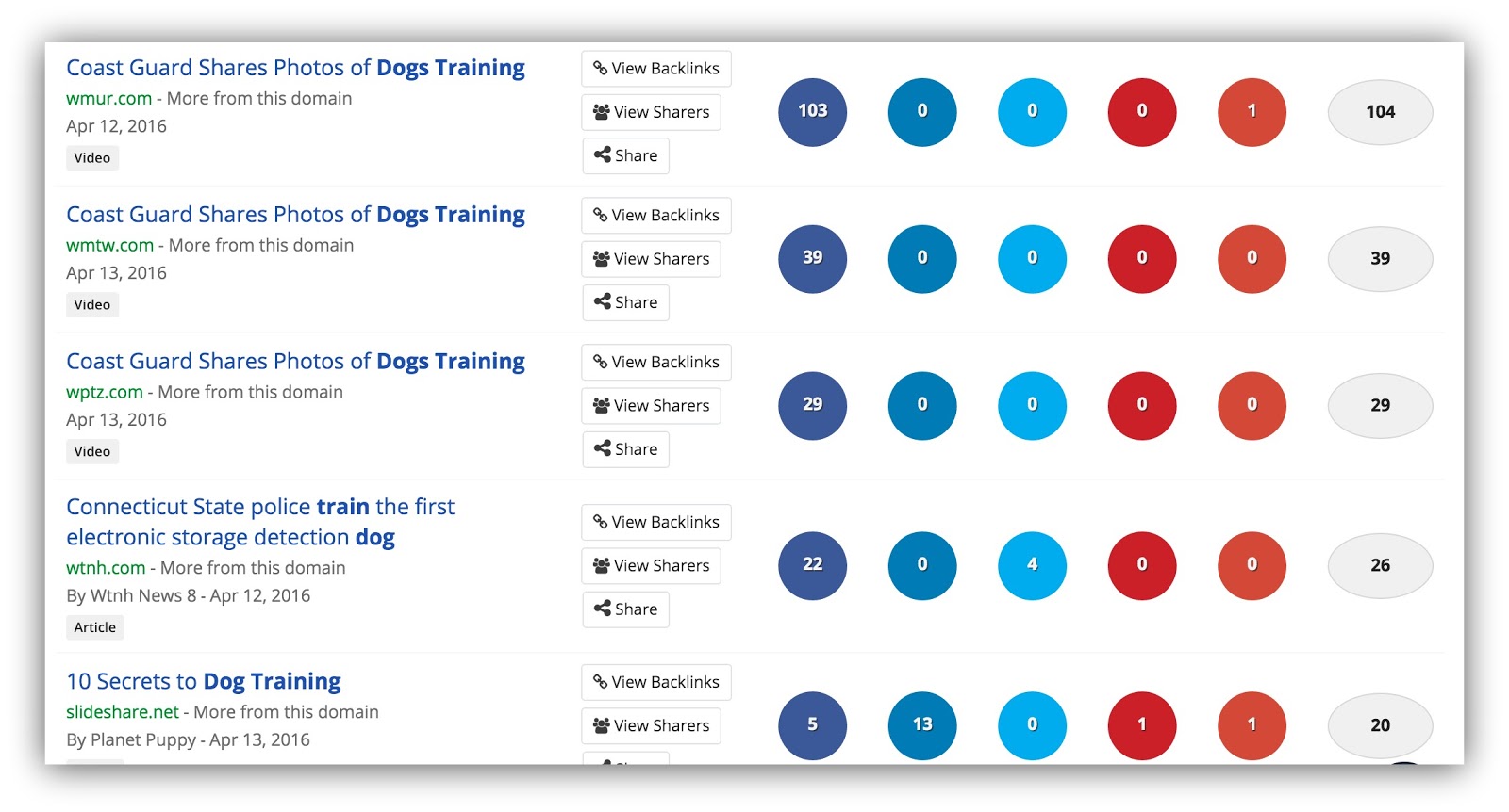 buzzsumo dog