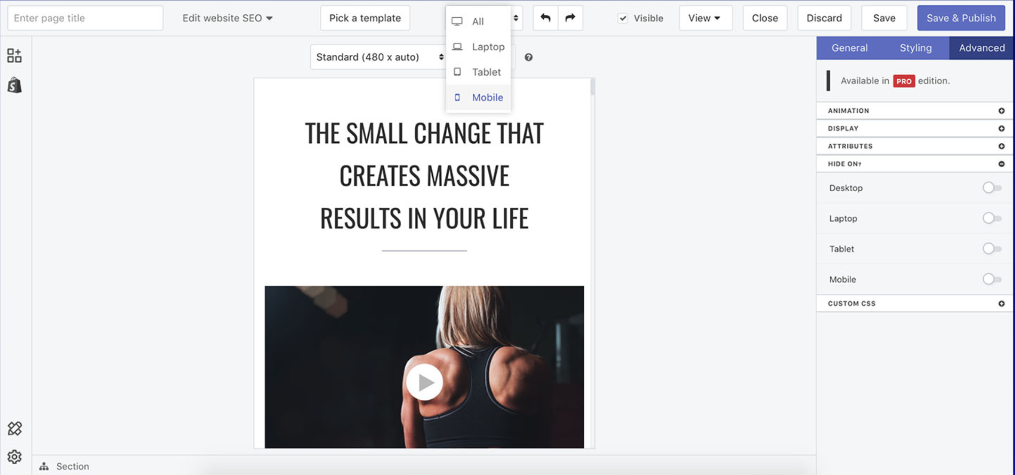Screenshot showing a software being used to create an image