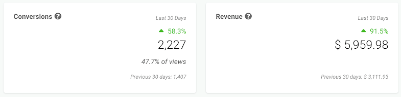 Screenshot showing conversions and revenue stats