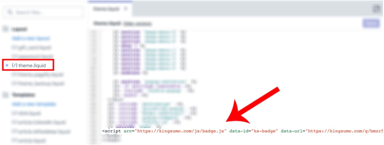 Screenshot showing Shopify code editor