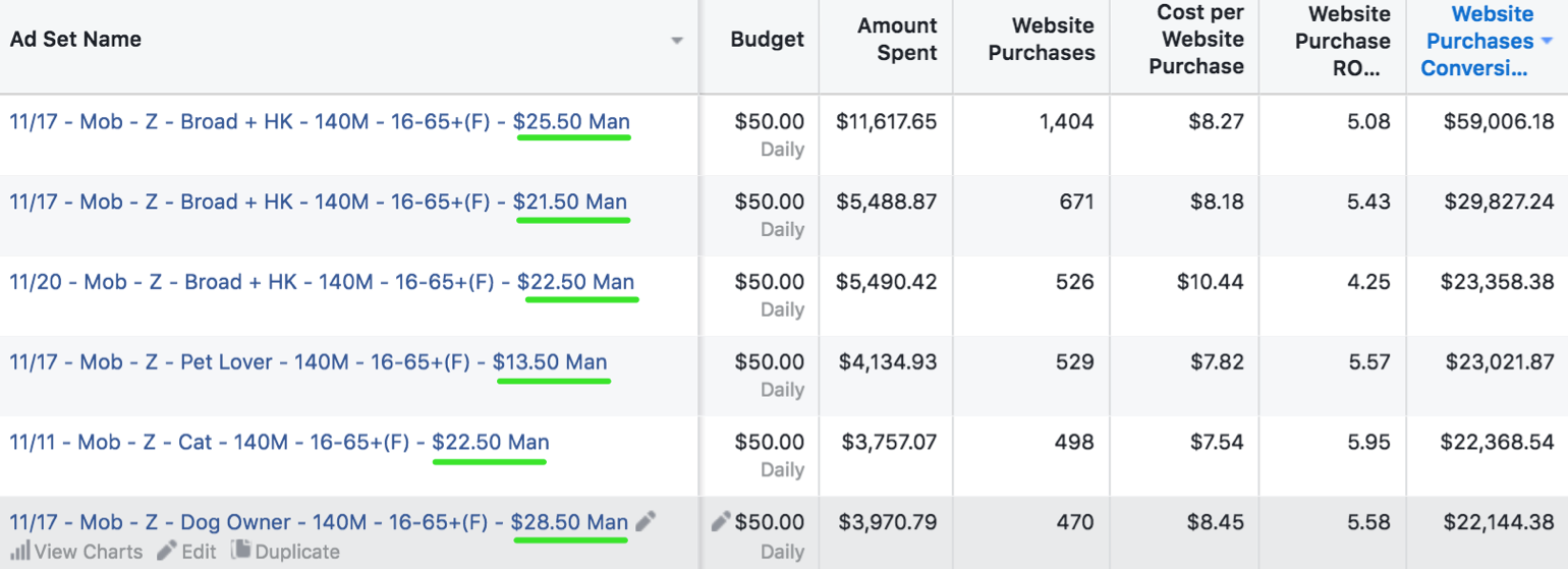 Screenshot showing different ad sets and different variables on the Facebook Ads dashboard