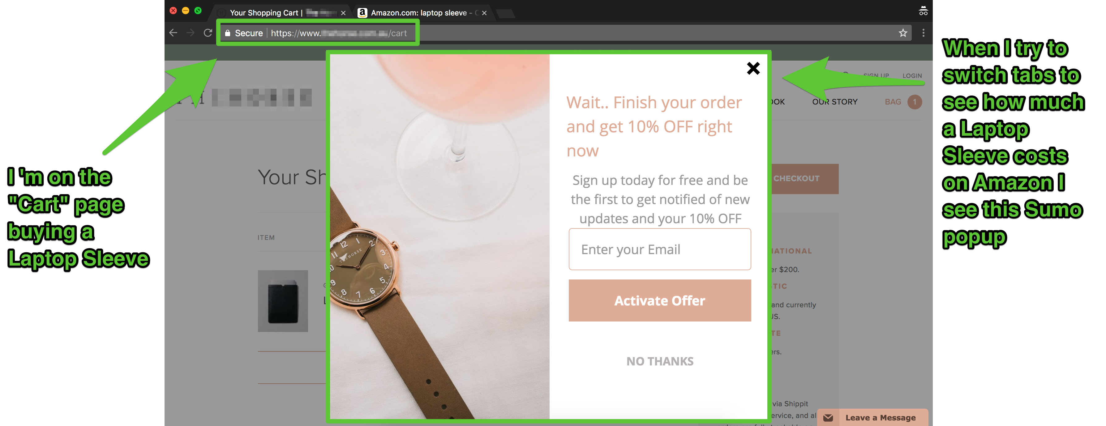 Screenshot showing a Sumo popup in action