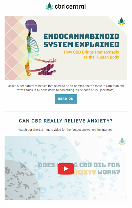 Screenshot of multimedia content email by CBD Central