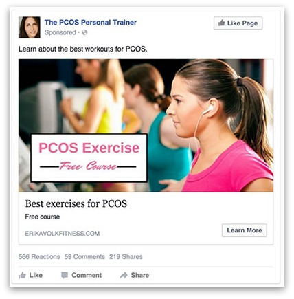 Screenshot showing a successful Facebook ad