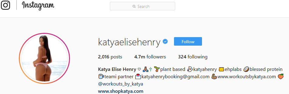 Screenshot showing Instagram profile of katya elise henry